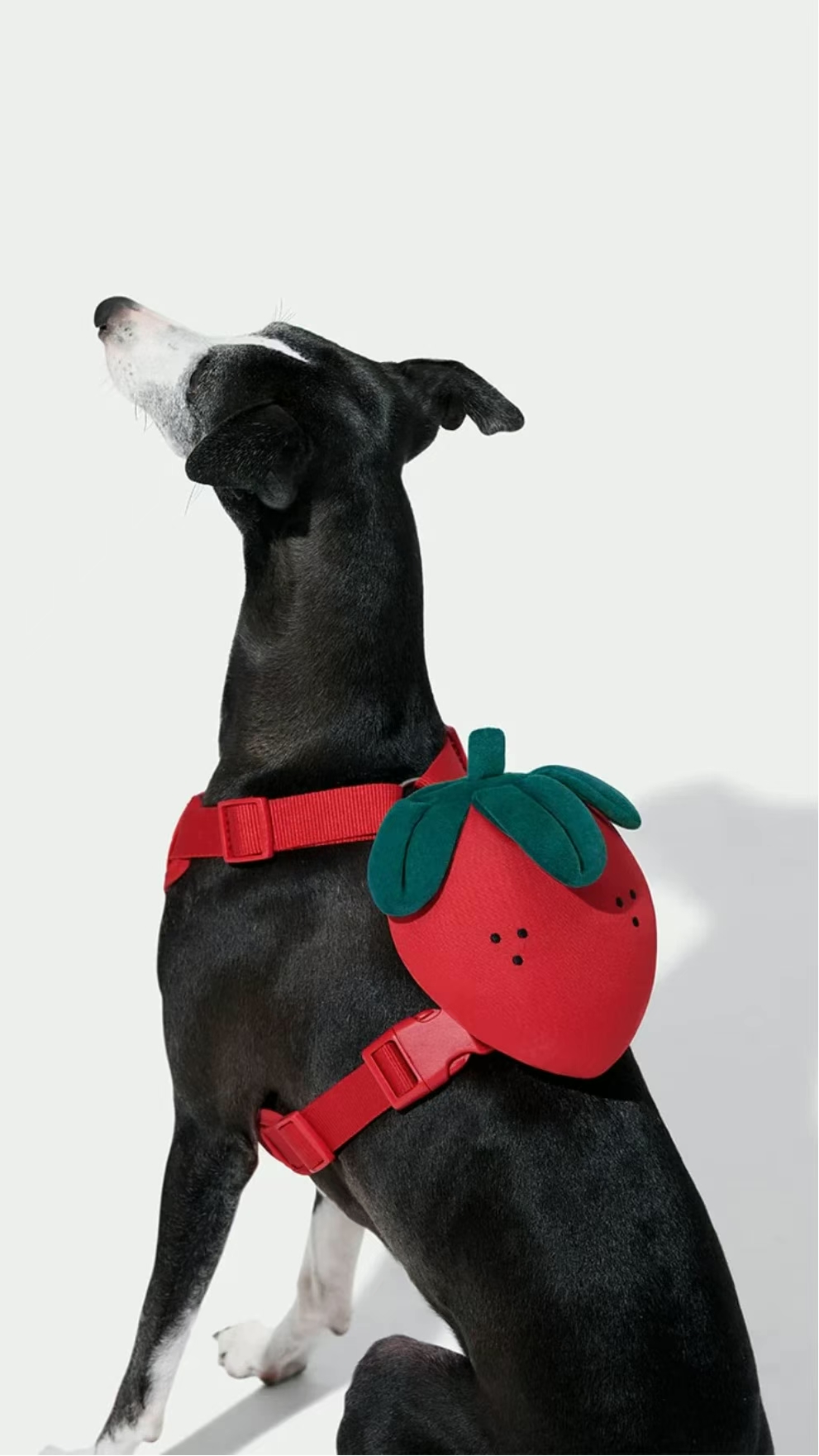 WeChat picture_2025-11-24_115130_282